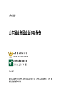 山东招金集团企业诊断报告(PPT 67页）