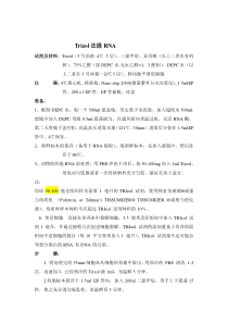 Trizol法提取细胞中RNA及逆转录合成cDNA