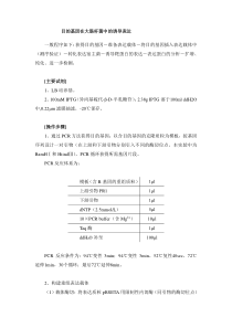 外源基因在大肠杆菌中表达简略实验步骤