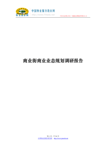 商业街商业业态规划调研报告