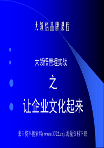 大领悟管理实战让企业文化起来（PPT 34页）