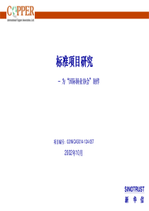 新华信－《国家铜业协会作的咨询报告》(ppt 17)