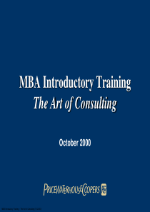 普华咨询-Theartofconsulting