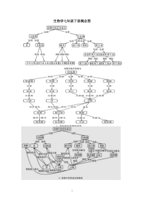 北师大生物七年级下册概念图(清晰版)