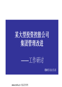 有关集团管理改进的模式咨询方案