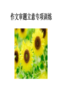 高三语文作文审题立意专项训练