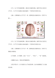 右脑开发训练大全