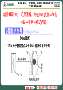 微课六巧用图解突破DNA复制与细胞分裂中染色体标记问题