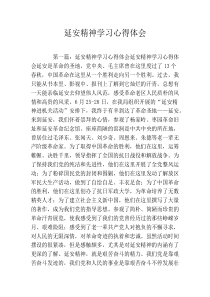 延安精神学习心得体会