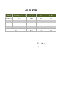 股权分配明细表