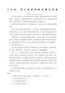 小升初语文阅读理解试题及答案