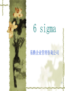 易腾企业管理咨询---6sigma全套资料-(ppt247