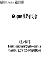 某咨询公司6sigma战略研讨会