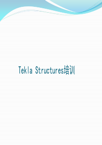 Tekla Structures培训