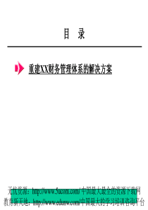 某咨询公司的財務解決方案