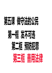 人教部编版道德与法治八年级上册5.3善用法律课件