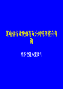 某电信行业股份管理整合咨询——组织设计方案