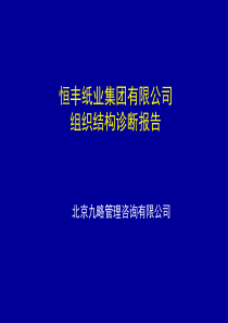 恒丰纸业集团有限公司组织结构诊断报告