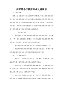 教师专业发展规划下载_(全文阅读word)