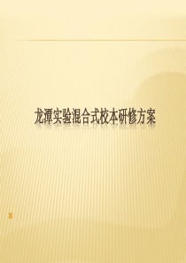 龙潭实验混合式校本研修方案