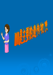 DNA是主要的遗传物质课件(苏教版八年级下)