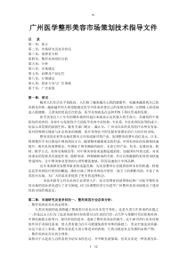 医美市场计划方案(建文)_doc下载