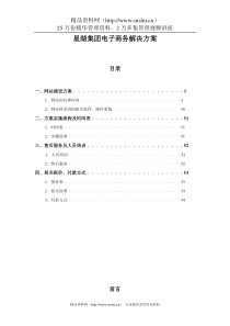 某着名咨询公司-星湖-集团电子商务解决方案