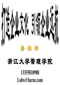 当代中国企业文化突出类型的个例评介_打造企业文化引领企业远航（PPT58页)