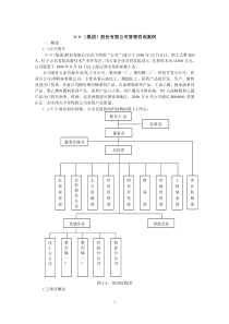 某股份公司管理咨询案例