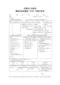 VTE风险评估表_doc下载