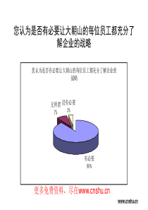 某著名咨询公司-云南大朝山水电-战略问卷