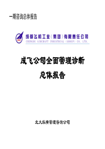 成飞公司全面管理诊断总体报告（推荐PPT229）（北大纵横）