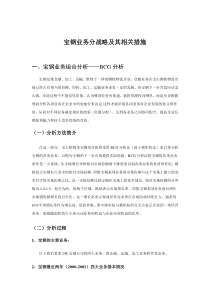 某著名咨询公司-宝钢-业务分战略及其相关措施分析报告