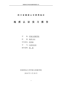 四川峨眉山地质认识实习报告