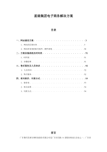 某著名咨询公司-星湖-集团电子商务解决方案