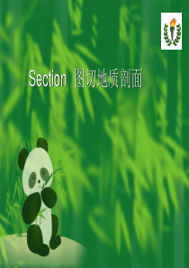 用Section切地质剖面