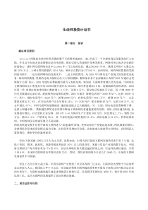 某著名咨询公司-生活网-投资计划书