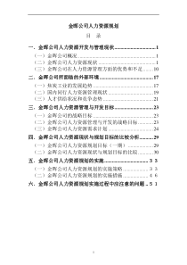 某著名咨询公司-金晖-人力资源规划咨询报告