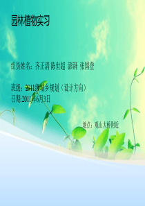 园林植物实习,,观山湖附近