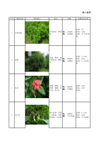 常见园林植物——观花灌木