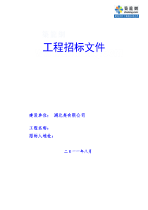 武汉某中心外墙亮化工程设计施工招标文件(2011-08)