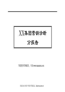 某著名咨询公司-能源行业-集团营销诊断分报告