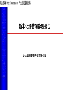 新丰化纤管理诊断报告（PPT158页）