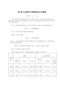 液化气有限责任公司章程