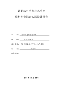 VC实现数字水印设计报告