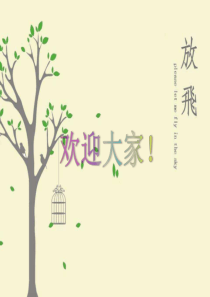 鸟课件-PPT