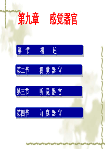 新版生理学课件感觉器官