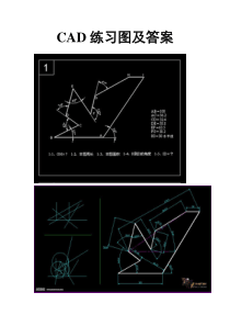 CAD练习图及答案下载_word模板 