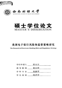 我国电子银行风险和监管策略研究