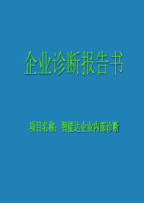 智能达企业内部诊断报告书(ppt 59)4